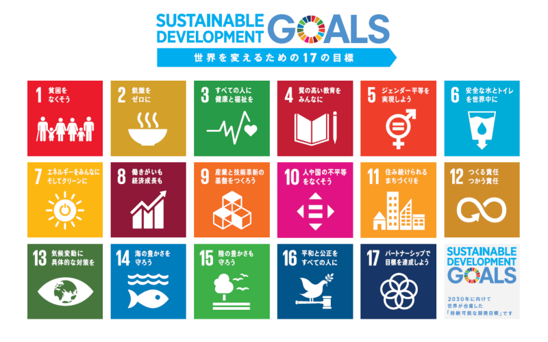 sdg logo